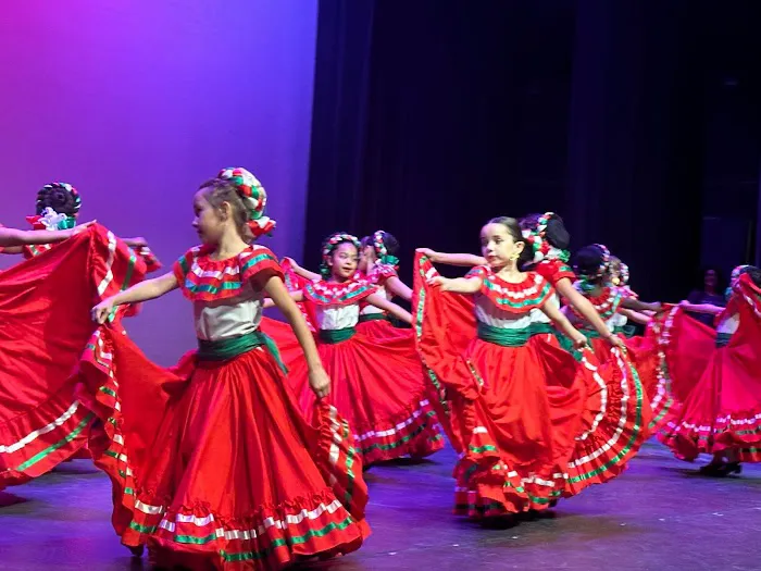 DanzArts Picture 4