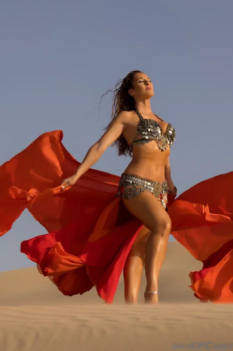 Rachel Belly Dance | Performance | Classes Picture 4