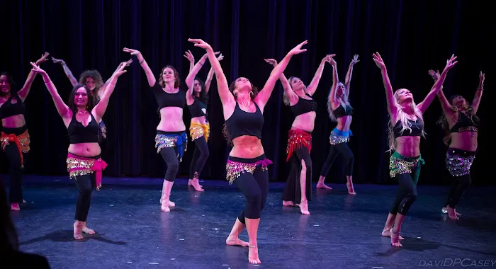 Rachel Belly Dance | Performance | Classes Picture 5