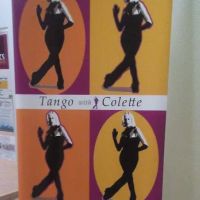 San Diego Dance Theater ico