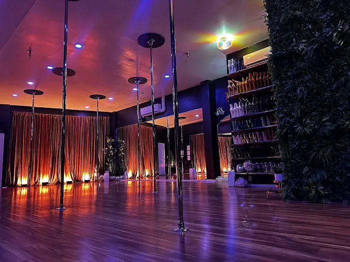 The Pole Collective Picture 6