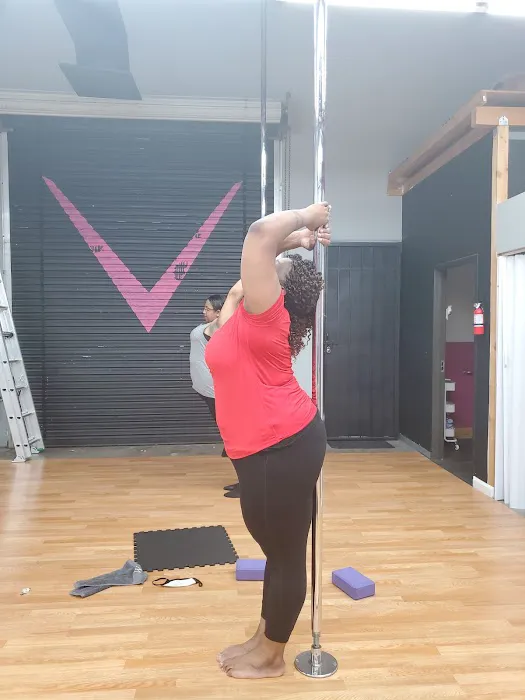 Vigor Academy/ Pole Dance Fitness Picture 2