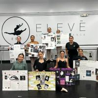 Elevé School Of Dance ico