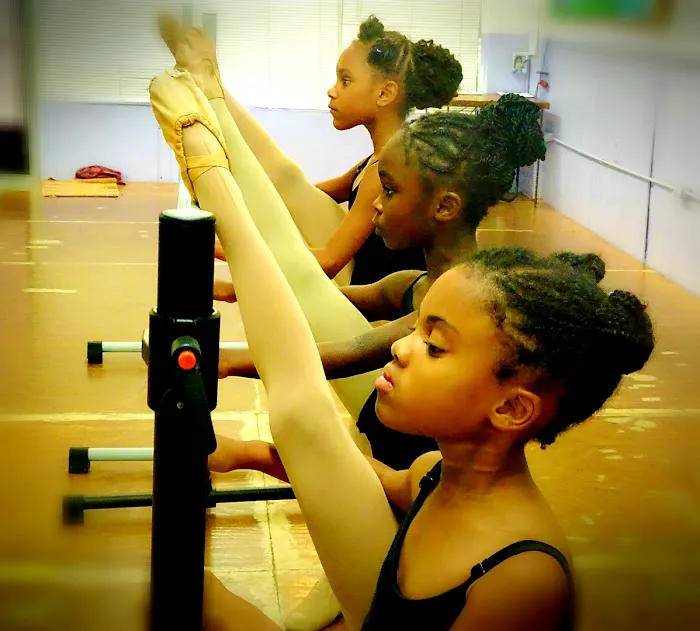 Dance Speaks Performing Arts Academy Picture 2