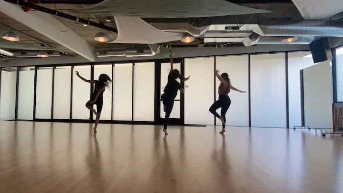 transcenDANCE Youth Arts Project Picture 4