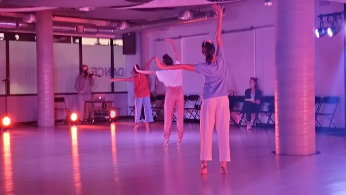 transcenDANCE Youth Arts Project Picture 2