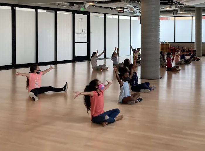 transcenDANCE Youth Arts Project Picture 9