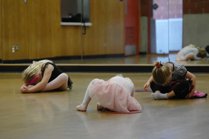 Dance To EvOLvE at Tierrasanta Rec Center Picture 3