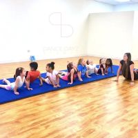 Dance Dayz Studio ico
