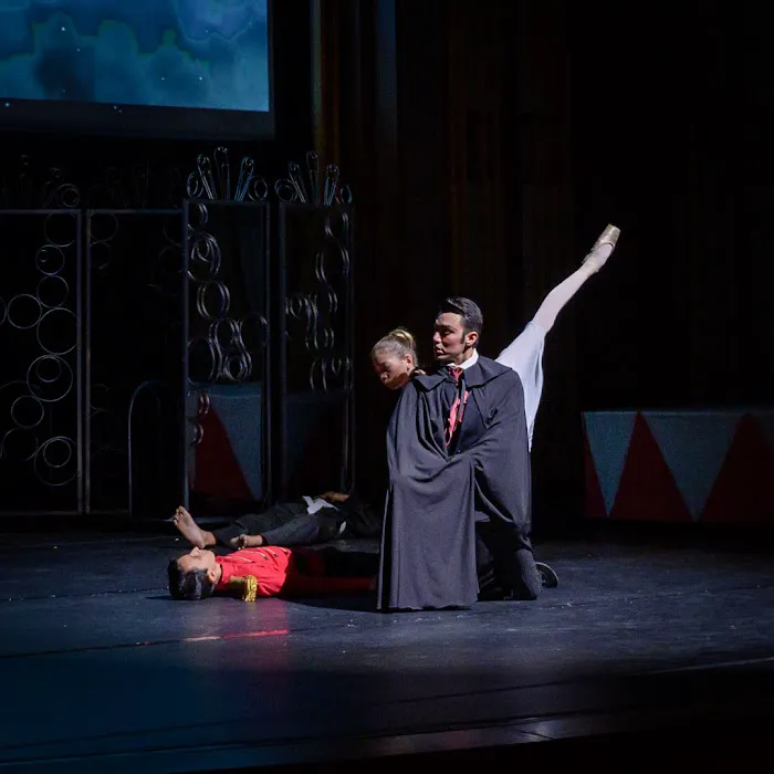 Ballet Institute of San Diego Picture 3