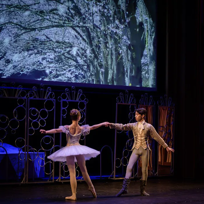 Ballet Institute of San Diego Picture 1