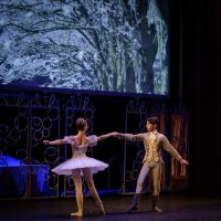 Ballet Institute of San Diego ico