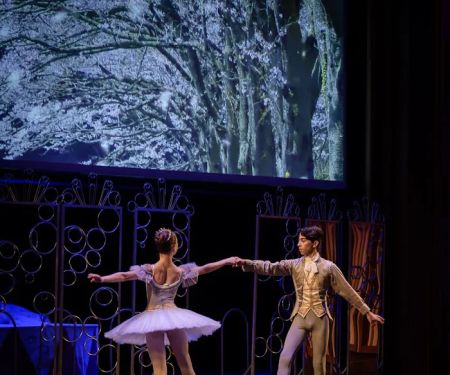 Ballet Institute of San Diego