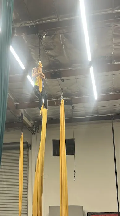 Aerial Revolution Picture 4