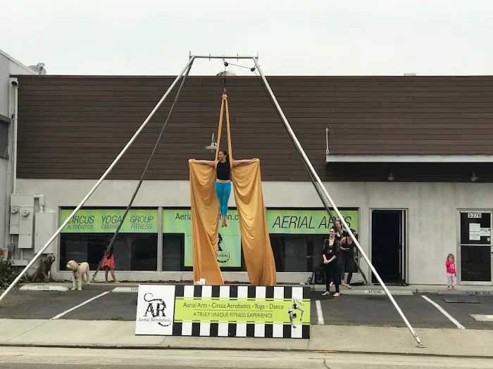 Aerial Revolution Picture 6