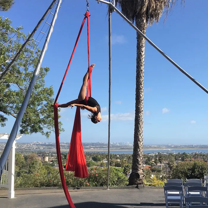 Aerial Revolution Picture 7