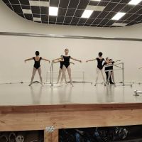 Mironova Classical Ballet Academy ico