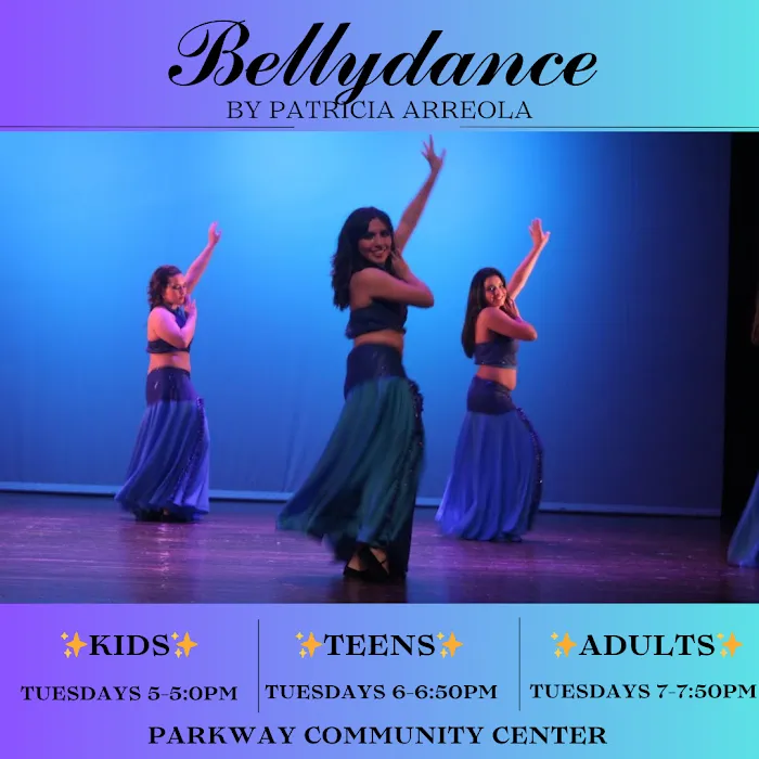 Bellydance Chula Vista Picture 8