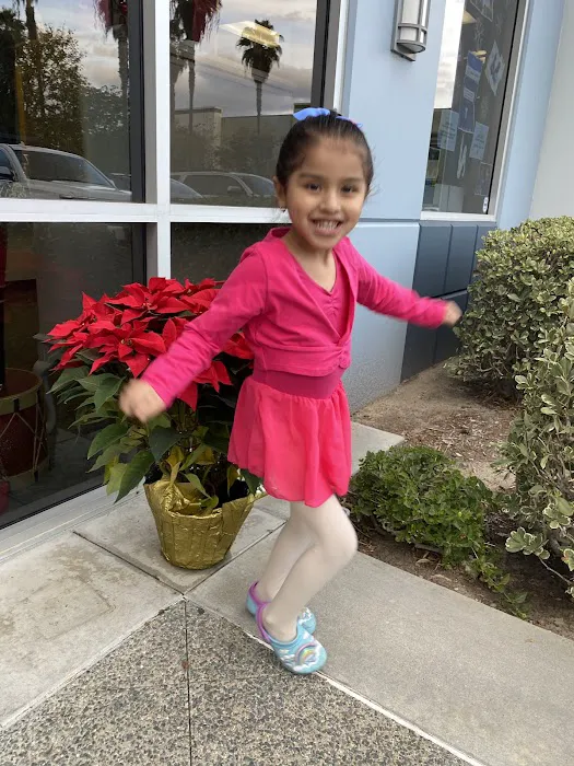 Neisha's Dance & Music Academy Picture 3