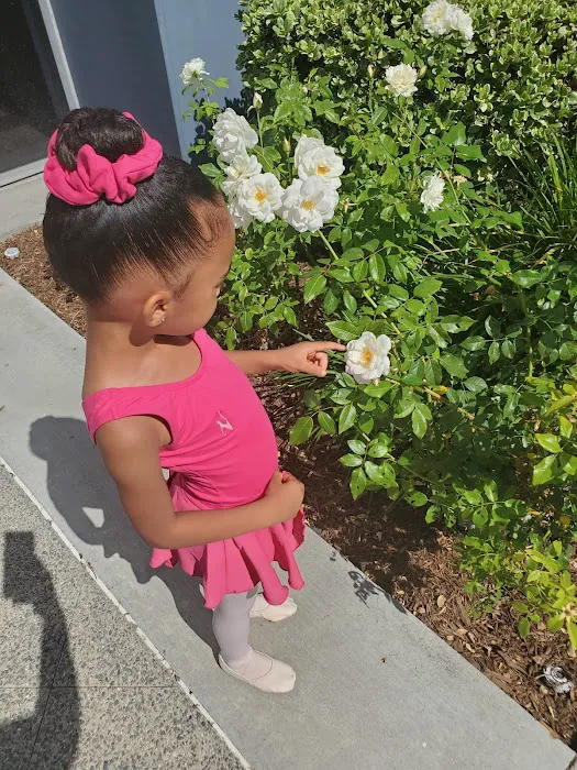 Neisha's Dance & Music Academy Picture 7