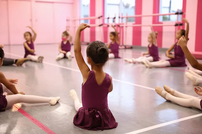 Neisha's Dance & Music Academy Picture 9