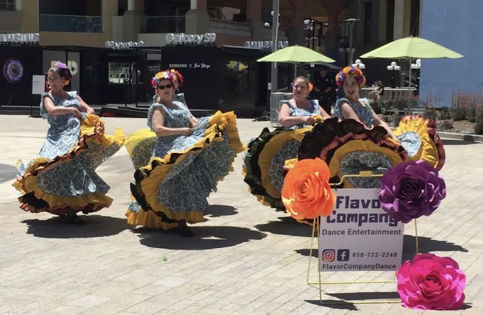 Flavor Company Dance Entertainment Picture 5