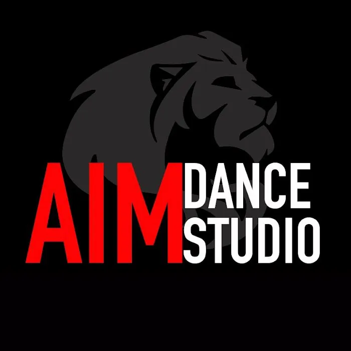 Arts In Motion Dance Studio Picture 1