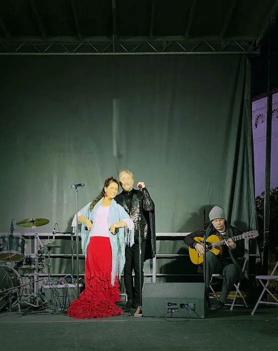 Flamenco Arana Picture 5