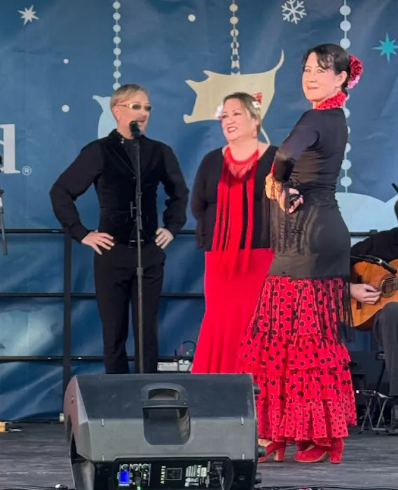 Flamenco Arana Picture 4