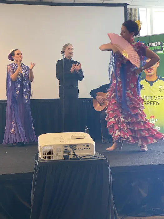 Flamenco Arana Picture 3