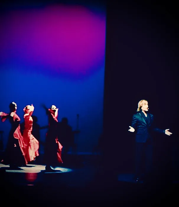 Flamenco Arana Picture 2