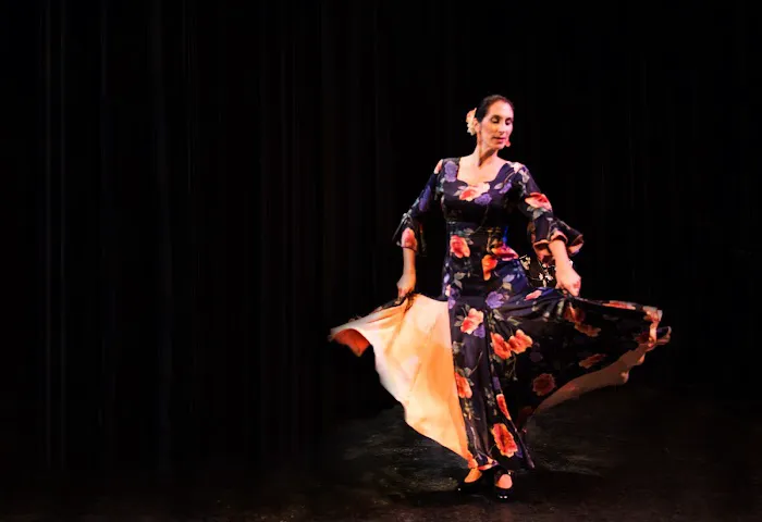 Flamenco Arana Picture 8