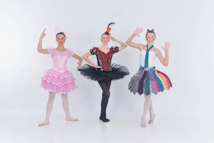 The Ballet Company Picture 2