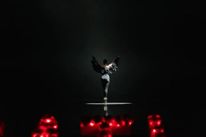 The Ballet Company Picture 5