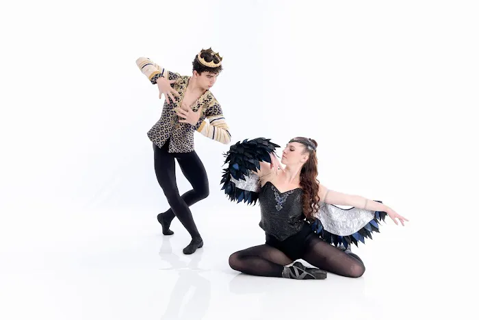 The Ballet Company Picture 6