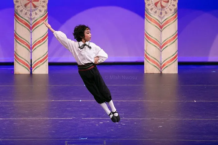 Scripps Performing Arts Academy Scripps Ranch Picture 5