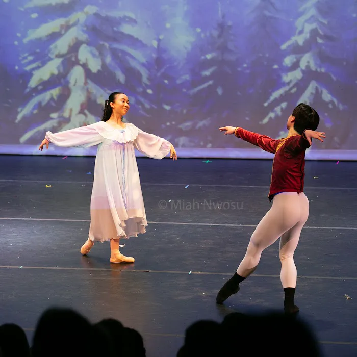Scripps Performing Arts Academy Scripps Ranch Picture 10