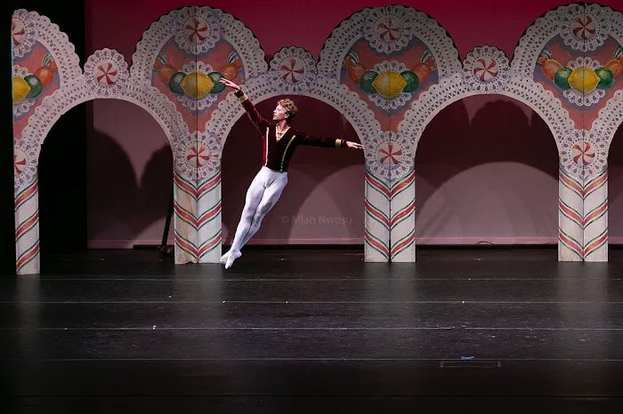 Scripps Performing Arts Academy Carmel Valley Picture 5