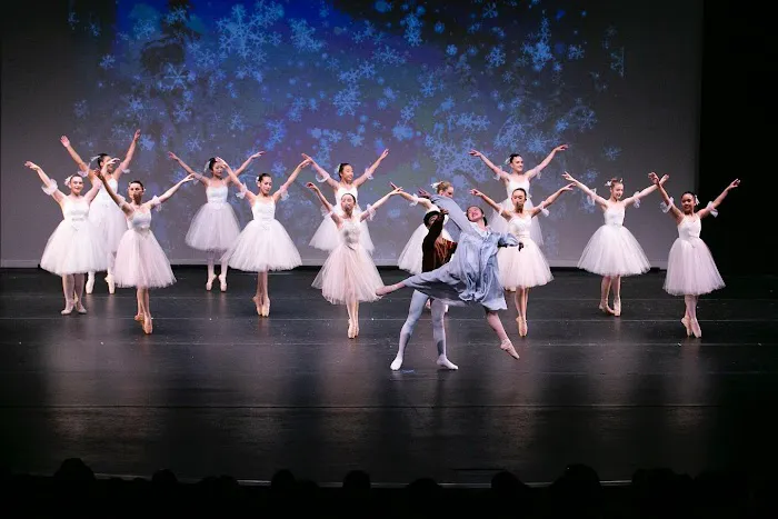 Scripps Performing Arts Academy Carmel Valley Picture 6