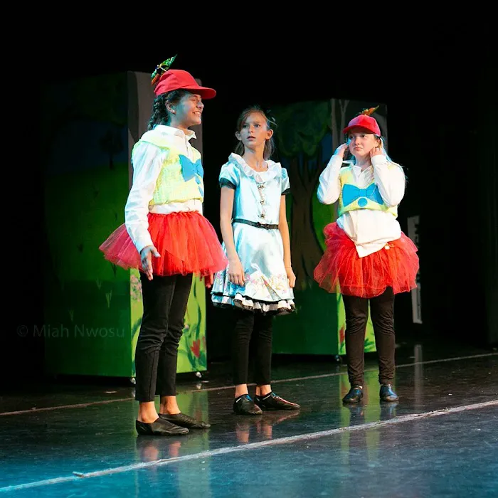 Scripps Performing Arts Academy Carmel Valley Picture 7