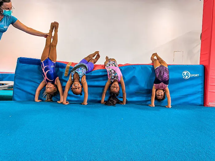 San Diego Gymnastics & Parkour Otay Ranch Picture 3