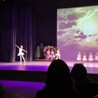 Lynch Dance Institute ico