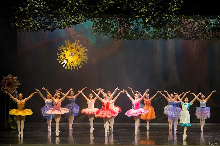 Southern California Ballet Picture 1