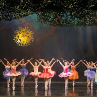 Southern California Ballet ico