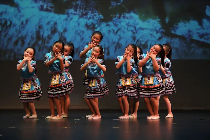 After School Learning Tree Dance Studio Picture 1