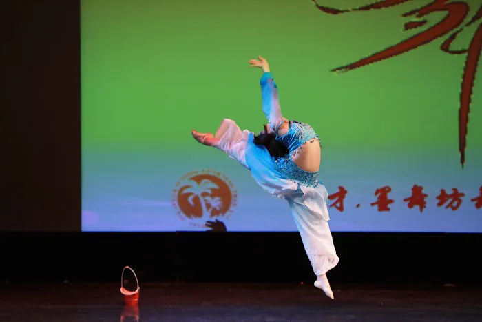 After School Learning Tree Dance Studio Picture 6