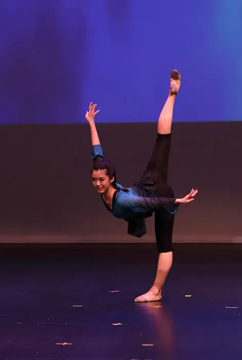 After School Learning Tree Dance Studio Picture 4