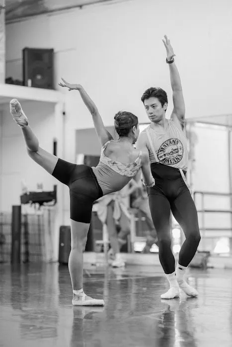 Ballet Arte Picture 6