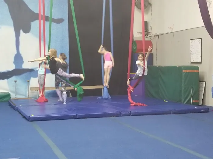 De Leon Dynamics Picture 2