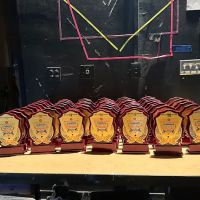 Manjeera Academy of Dances ico